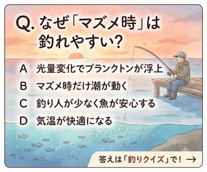 釣り人テスト｜つれた日。